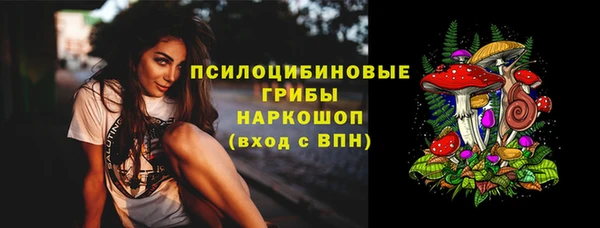ешки Белокуриха