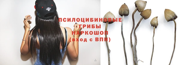 ешки Белокуриха