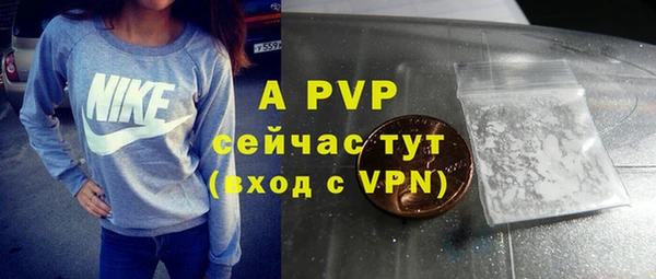 ешки Белокуриха