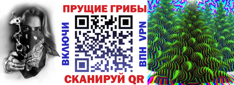 Псилоцибиновые грибы Psilocybe  Купить закладки  Сельцо 